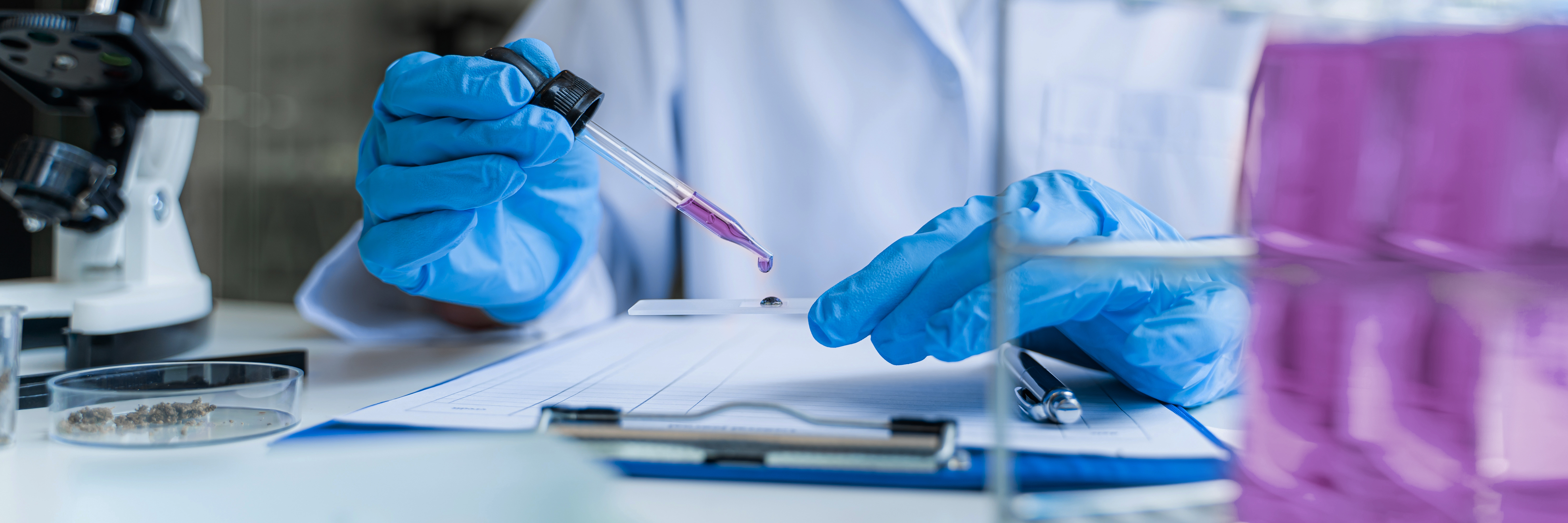 Une personne examine un échantillon pour représenter l’industrie des sciences de la vie